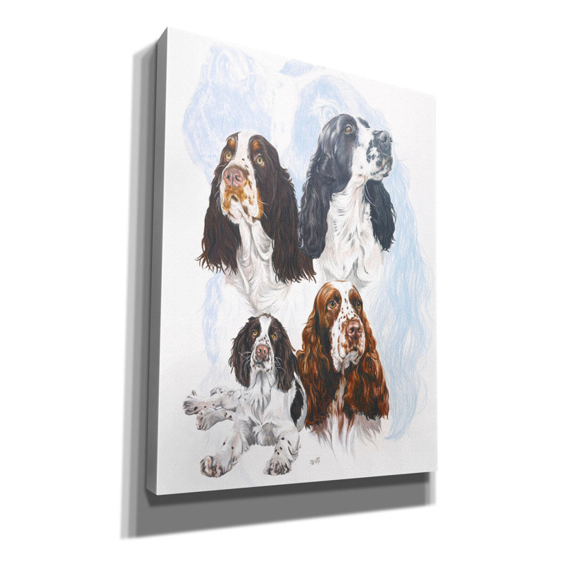 " Springer Spaniel " by Barbara Keith, 16" H x 12" W x 0.75" D