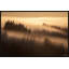 «Forest Shadows», reproduction encadrée-343293550-343293537