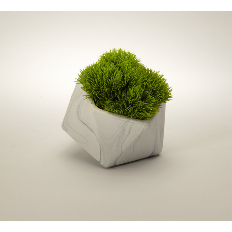 Plante grasse artificielle en pot