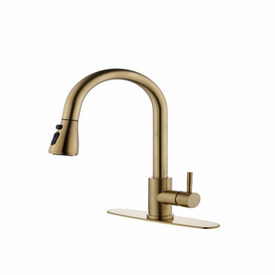 Kitchen Faucet With Pull Out Spraye