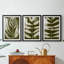 Organic Bloom IV - impression encadrée de qualité supérieure sur mesure mat - 3 pièces-171984690-171984688