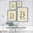 Bass Flies I Framed Print - Solid Wood