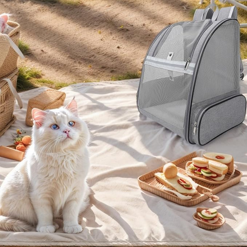 Sac à dos pour petits chiens