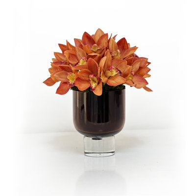 Cymbidium Orchid Open In A Glass
