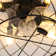 Henricks 43.2cm Round Caged Indoor Ceiling Fan with Light Kit