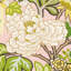 Chiang Mai Dragon Fabric-49817557