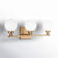 Ruthie 3 Light Frosted Dimmable Vanity Light-468293170
