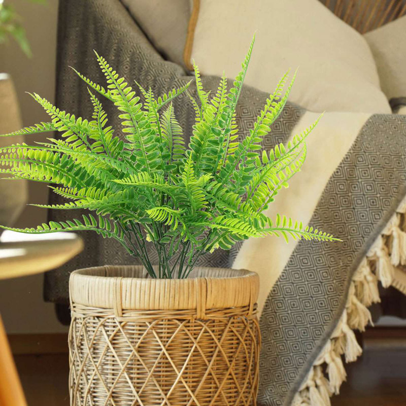 14.5 Plante