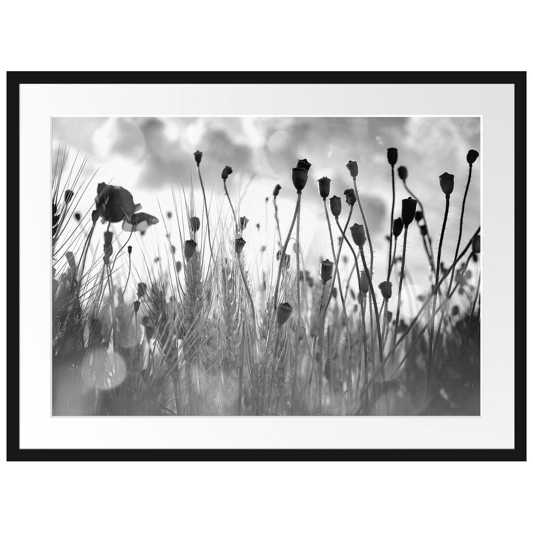 Gerahmtes Poster Mohn im Weizenfeld