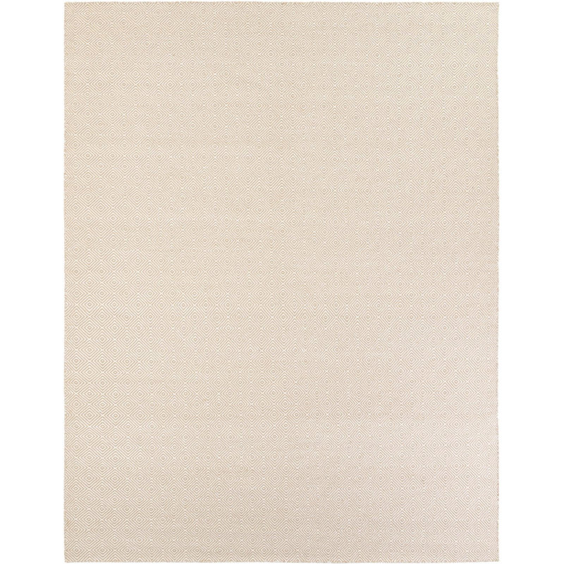 Contemporary Ohara Area Rug Beige Color, Rectangle 9' x 12'
