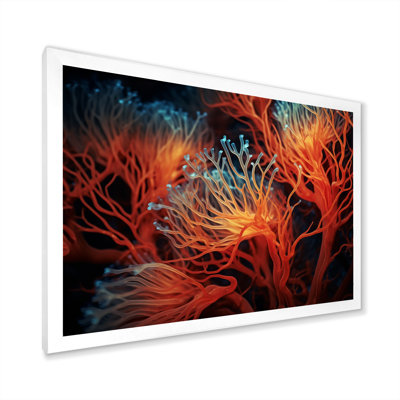" Colorful Red Anemone Reef "