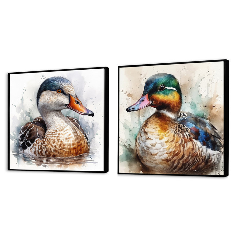Magnificent_Male Duck - Animal Duck Square Collage Set Of 2, 30" H x 61" W, Black Floater Framed