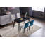 Aayesha Faux Marble Top Metal Base Dining Table-1572057537