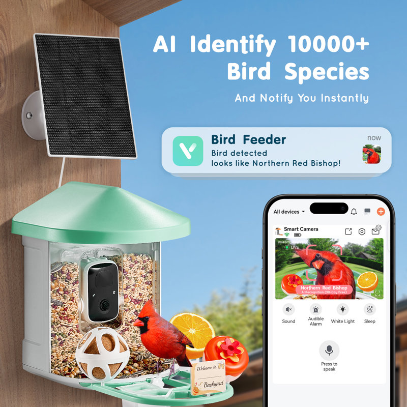 Mangeoire à oiseaux intelligente avec caméra, IA 2K HD identifiant plus de 10 000 espèces d'oiseaux, caméra d'observation des oiseaux à énergie solaire avec capture automatique et notification instantanée, cadeau idéal pour les amoureux des oiseaux en extérieur (vert)
