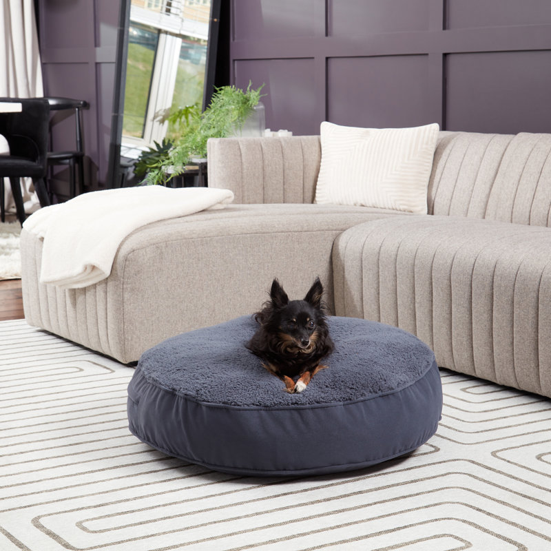Lit pour chien Alyzae, Petit (l 30 po x P 30 po x H 5 po), Acier bleu