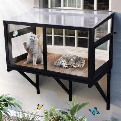 Boîte de fenêtre pour chat pour plusieurs chats d'intérieur