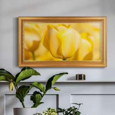 Sunshine Yellow II - Reproduction de photo sur toile simple