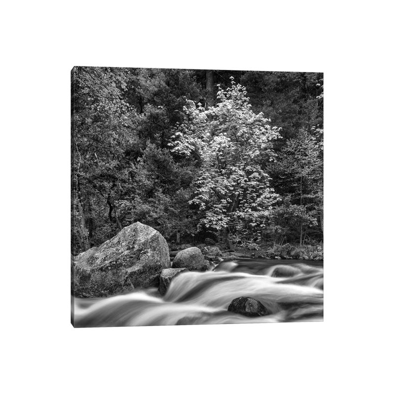 Usa, California, Yosemite, Happy Isles by John Ford - Wrapped Canvas Print, 45.72 cm H x 45.72 cm W