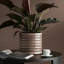 Pot de fleurs en céramique-2050626970-2066766196