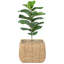 Mckenna Pot Planter-1644593367