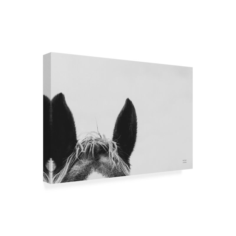 Art mural sur toile «Bachelor Nathan Larson», H 12 po x l 19 po
