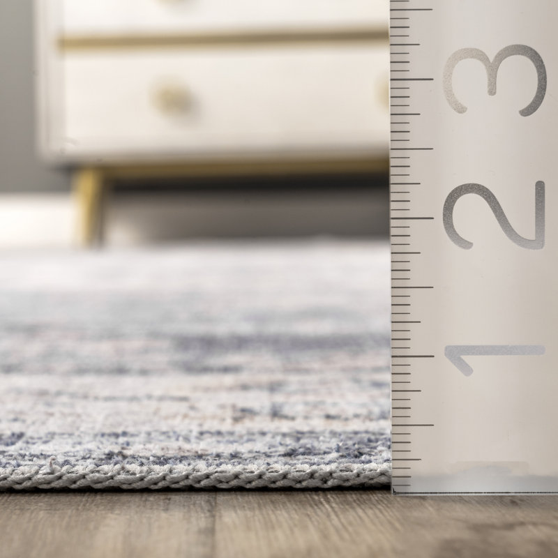 Tapis de couloir lavable à la machine Alaniz Medallion, Rectangle 8 pi x 10 pi