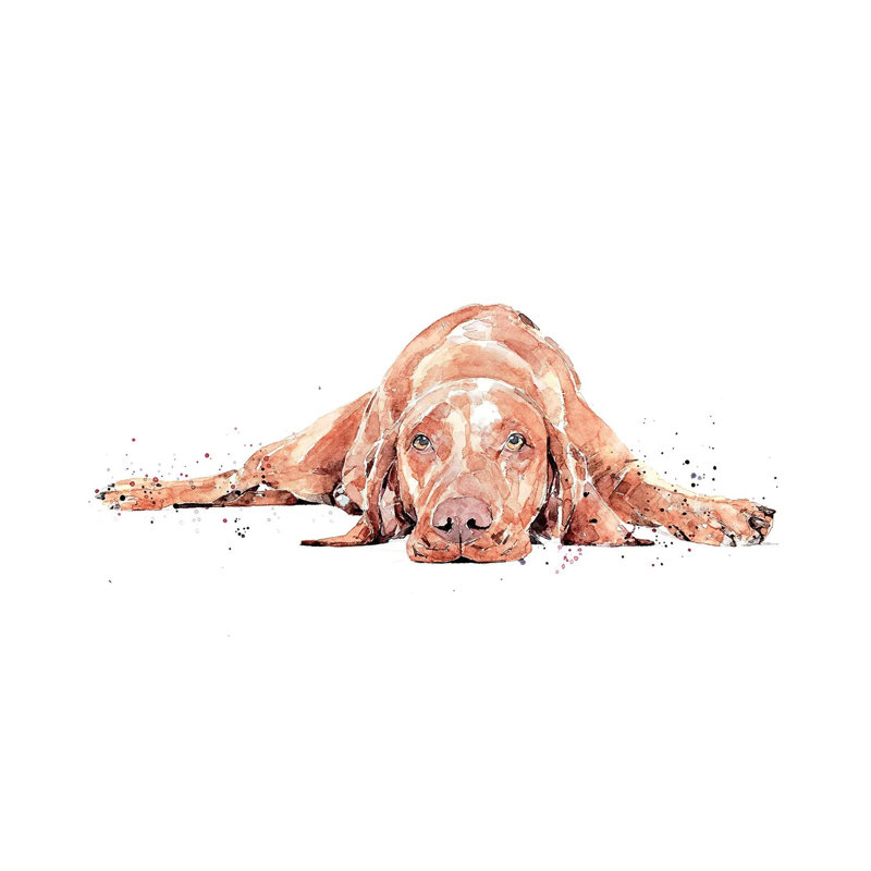 Vizsla Flat Out by EdsWatercolours - Wrapped Canvas Gallery-Wrapped Canvas Giclée, 30.48 cm H x 45.72 cm W