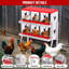 6 boîtes de nidification de poulet en métal à 6 compartiments, boîtes de nidification avec pieds en métal, boîte de ponte avec œufs roulants avec trous d'aération-841164996