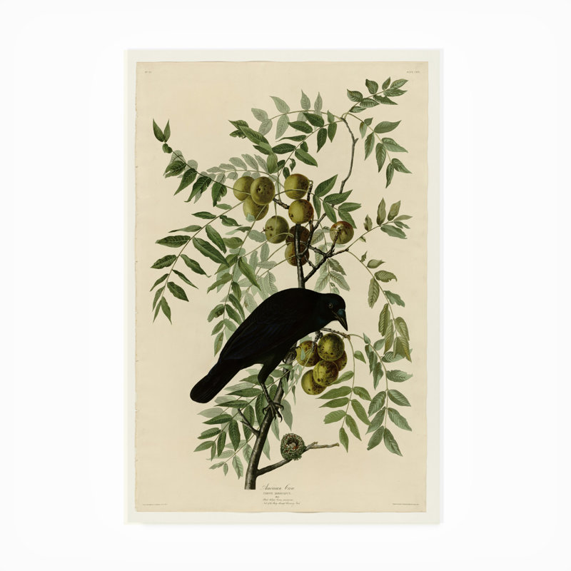 Décoration murale d'extérieur American Crow, L 22 po x H 32 po