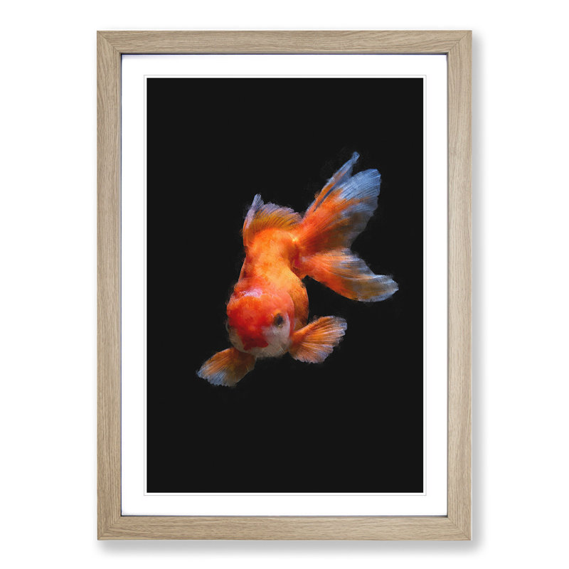 Chinese Golden Fish - Picture Frame Graphic Art, Oak Framed, 36cm H x 27cm W x 2cm D