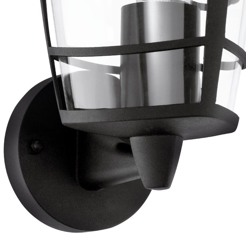 Treutlen 22.5cm H Outdoor Wall Lantern, Black
