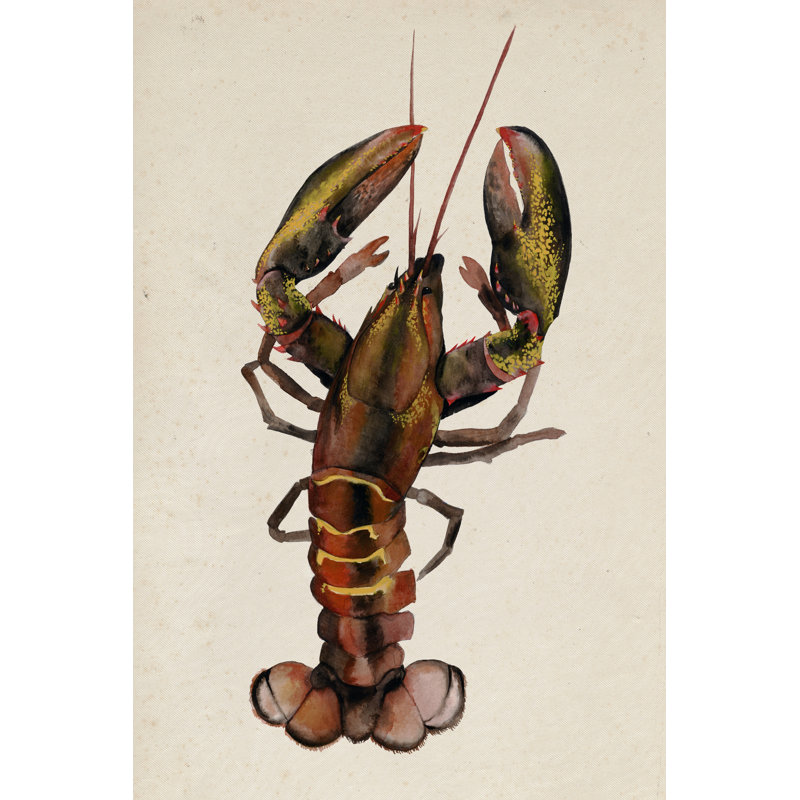 Sea Dweller II - Wrapped Canvas Painting, 46cm H x 30cm W x 3.8cm D
