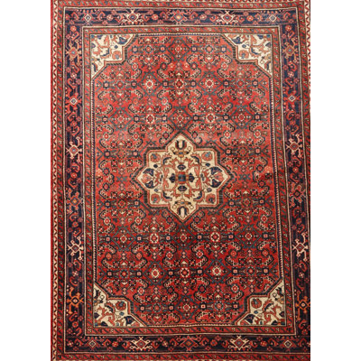 Oriental Indoor Rug