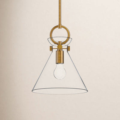 Tiney Single Light Glass Steel Pendant