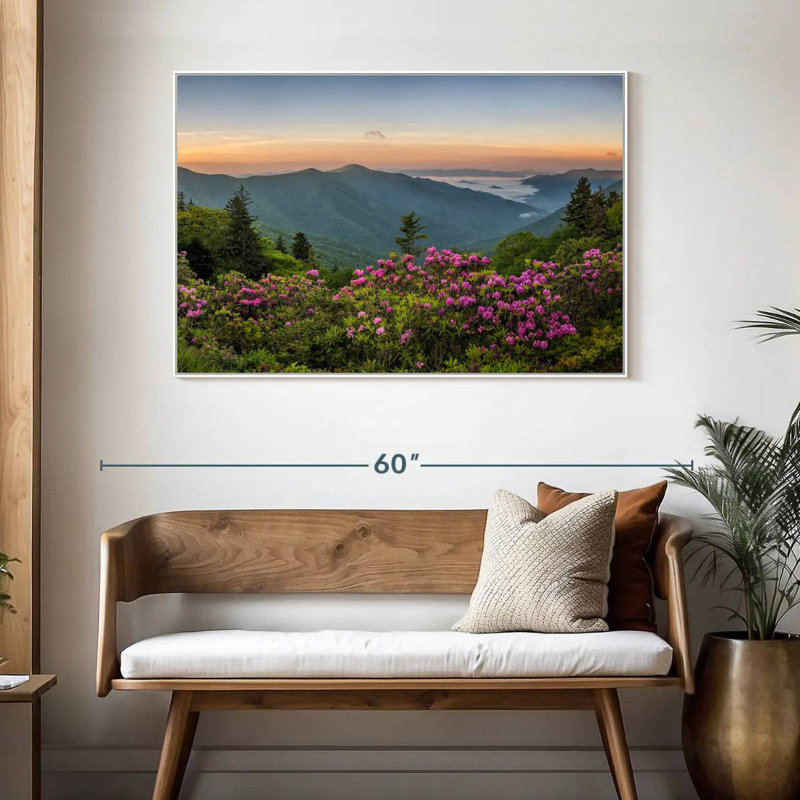 Blue Ridge Mountains View, Cadre flottant blanc, 46 po x 31 po