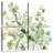 Harnek Sage Garden II
