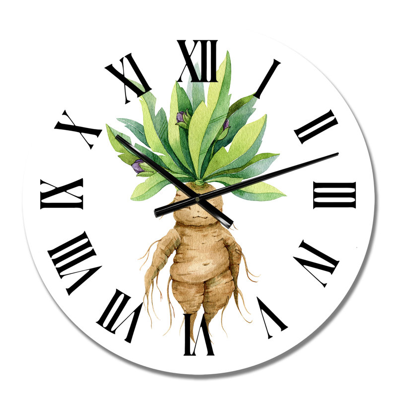 Mandragora plante - horloge murale traditionnelle, Moyen