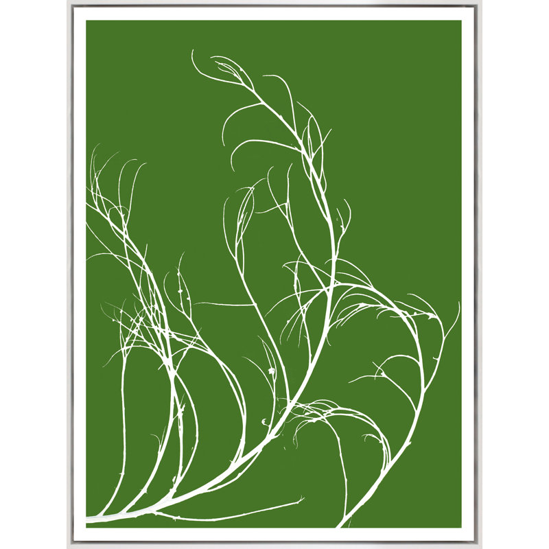 Tumbleweed Botanical Print, 60" H x 45" W, White Framed