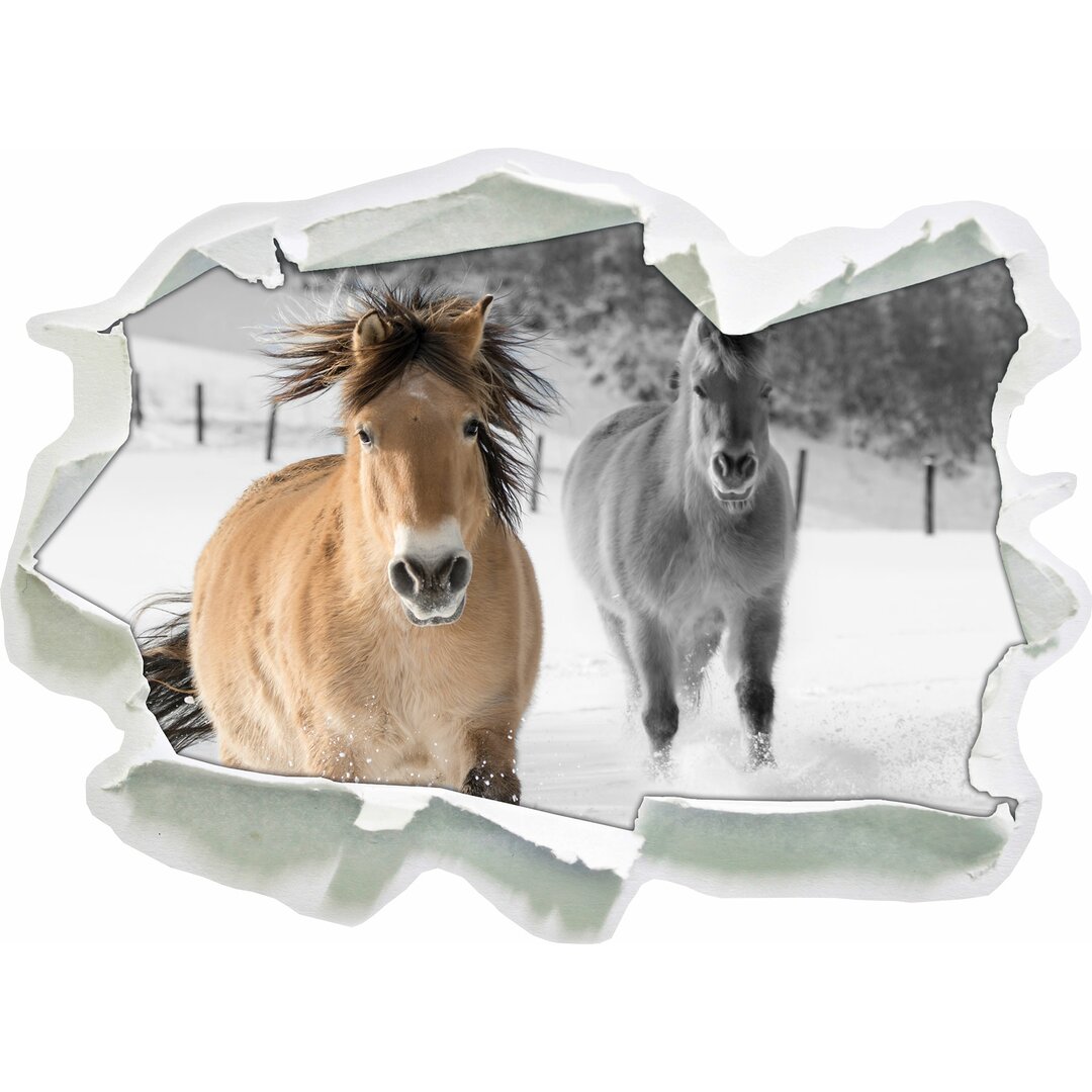 Zwei schöne Ponys im Schnee Wandsticker