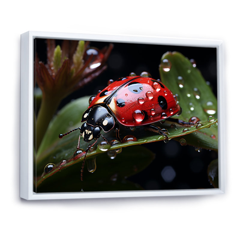 «Rainy Ladybugs Lullaby I», reproduction sur toile, H 24 po x l 32 po x P 1 po, Cadre flottant blanc