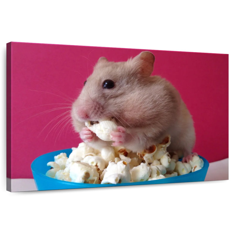 Ketti Hamster Eating Popcorn, 20" H x 30" W