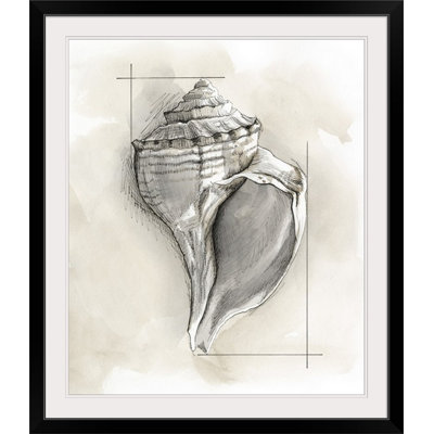 Shell Schematic " Shell Schematic I " by Megan Meagher