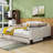 Chanee Full / Double Daybed with Trundle