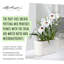 Plant Substrate-55087961