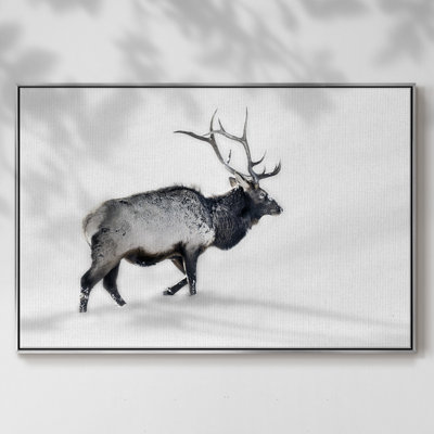 " Lone Bull "
