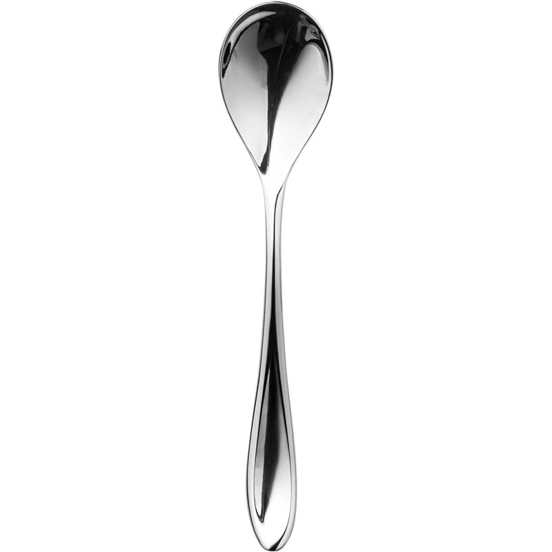 Forma Stainless Steel Coffee Spoon