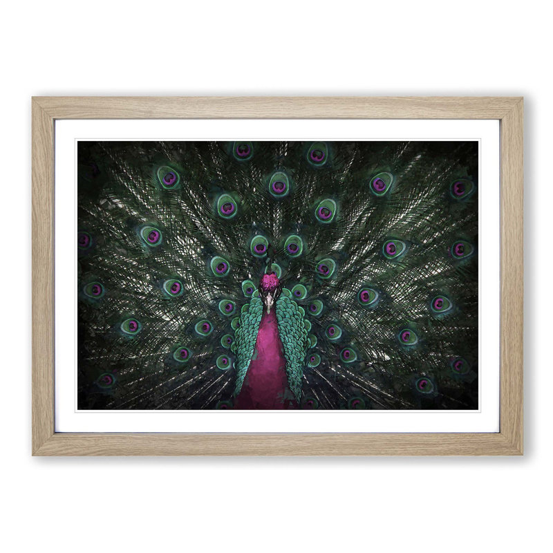 Mesmerising Pink & Green Peacock - Framed Print, Oak Framed, 48cm H x 65cm W x 2cm D