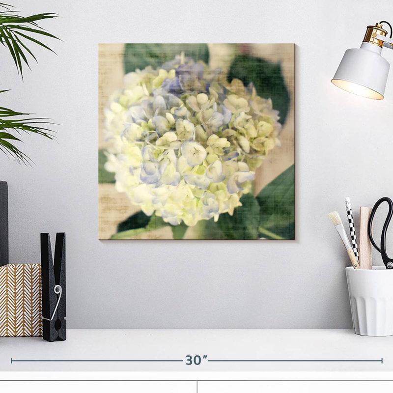 Harnek Hydrangeas II, 16" H x 16" W