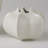 Star Fruit Vase-11372810