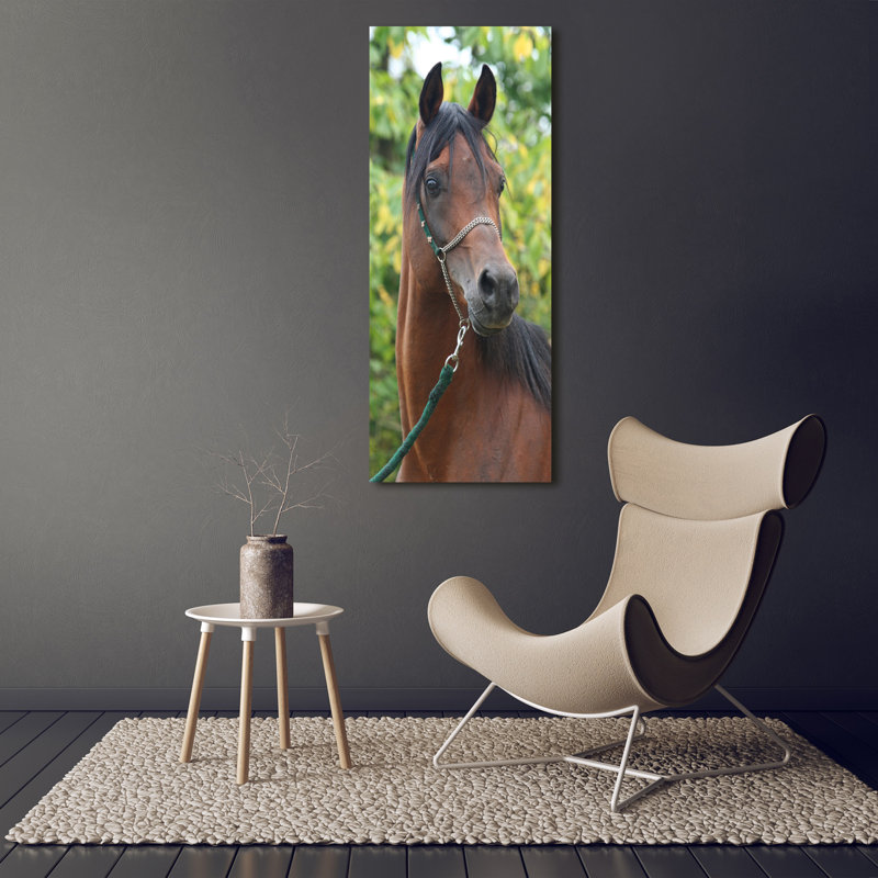 Portrait Of A Horse - Wrapped Canvas Print